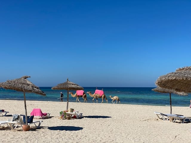 You are currently viewing Quels sont les meilleurs quartiers où séjourner à Djerba ?